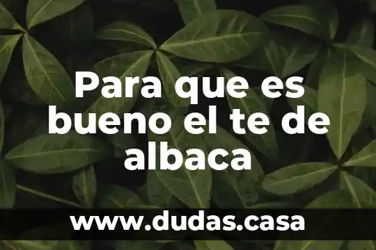 Para que es bueno el te de albaca