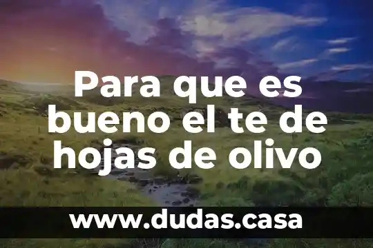 Para que es bueno el te de hojas de olivo