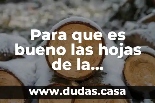 Para que es bueno las hojas de la guanabana