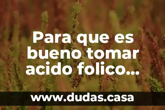 Para que es bueno tomar acido folico antes del embarazo