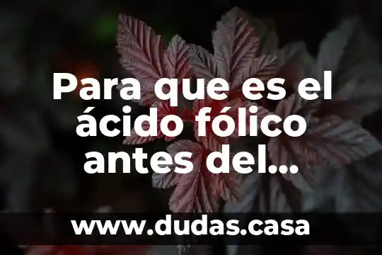 Para que es el ácido fólico antes del embarazo