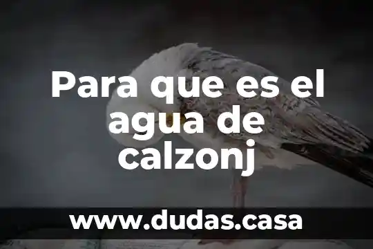 Para que es el agua de calzonj