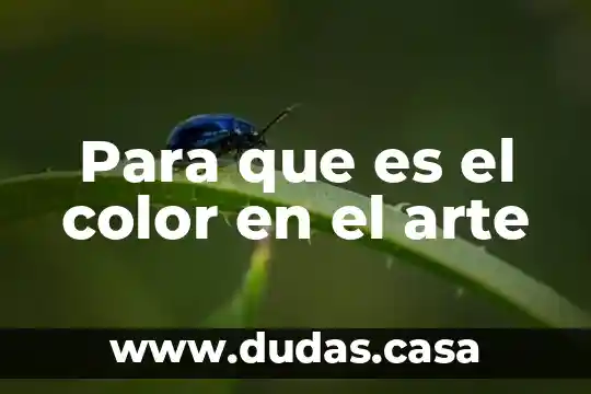 Para que es el color en el arte
