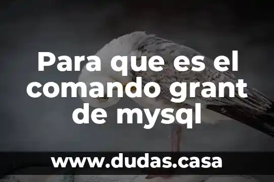 Para que es el comando grant de mysql