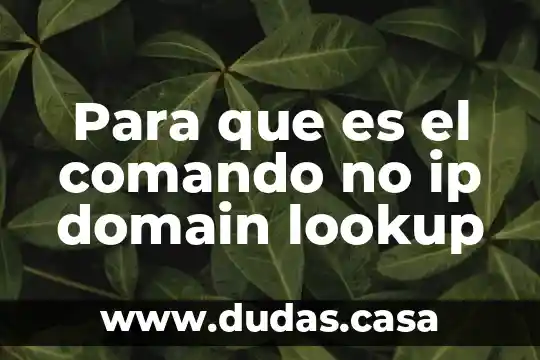 Para que es el comando no ip domain lookup