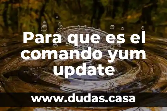 Para que es el comando yum update