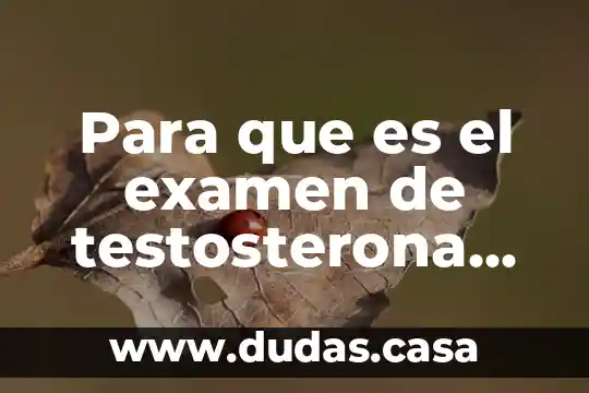Para que es el examen de testosterona total y libre