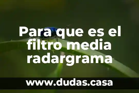 Para que es el filtro media radargrama