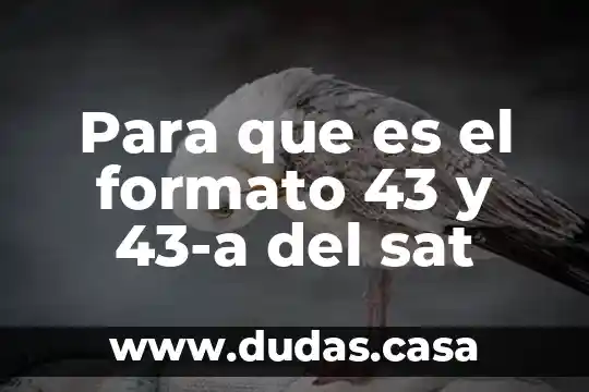 Para que es el formato 43 y 43-a del sat