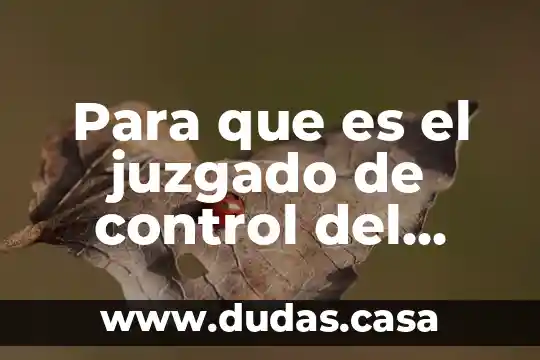 Para que es el juzgado de control del distrito judicial