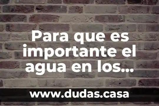 Para que es importante el agua en los ecosistemas