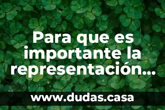 Para que es importante la representación en una investigacion