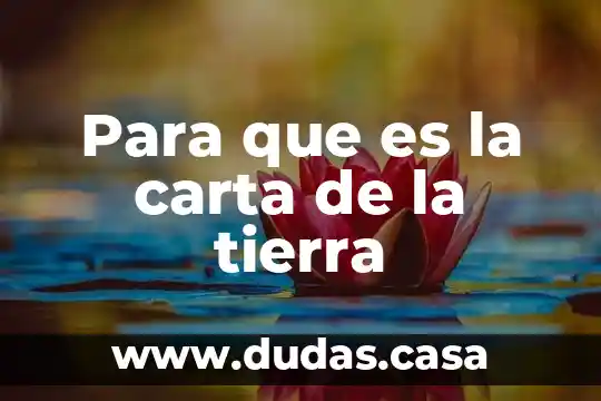 Para que es la carta de la tierra