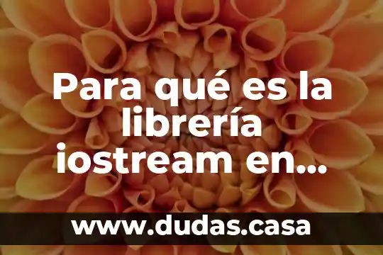 Para qué es la librería iostream en C++