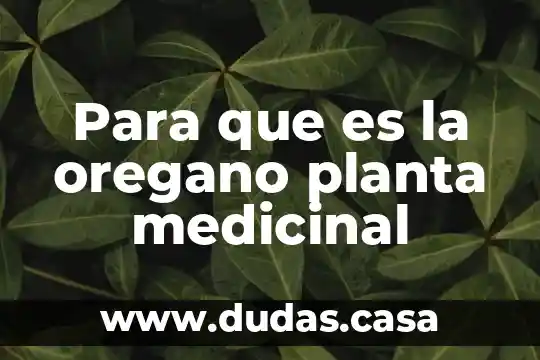 Para que es la oregano planta medicinal