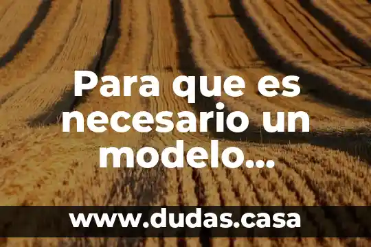 Para que es necesario un modelo pragmatico de inversion