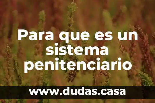 Para que es un sistema penitenciario