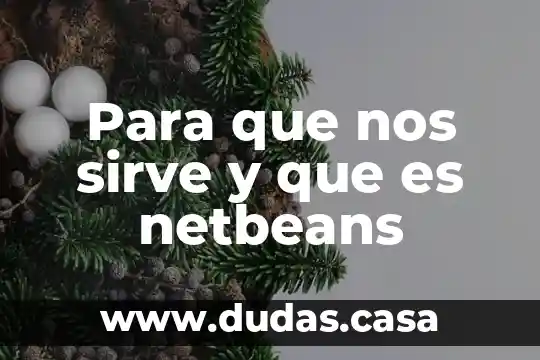 Para que nos sirve y que es netbeans
