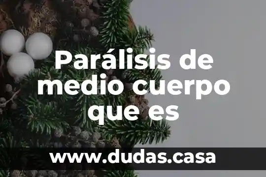 Parálisis de medio cuerpo que es