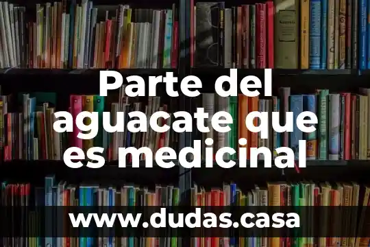 Parte del aguacate que es medicinal