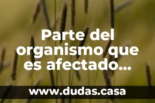 Parte del organismo que es afectado por la viruela