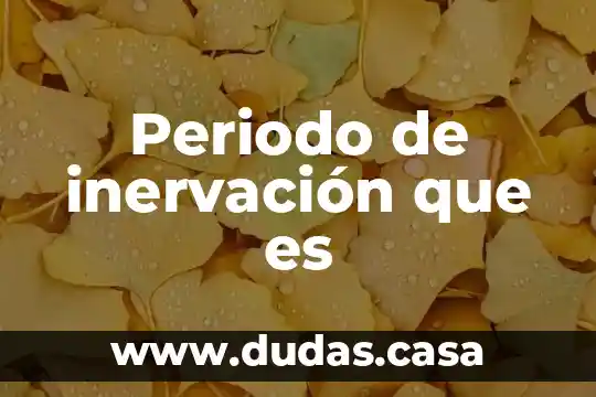 Periodo de inervación que es