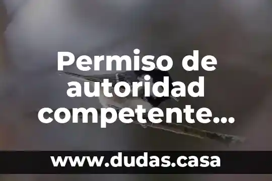 Permiso de autoridad competente que es