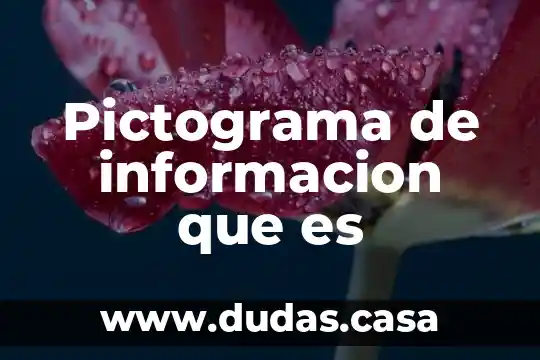 Pictograma de informacion que es