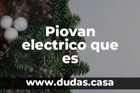Piovan electrico que es