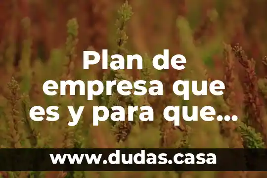 Plan de empresa que es y para que sirve