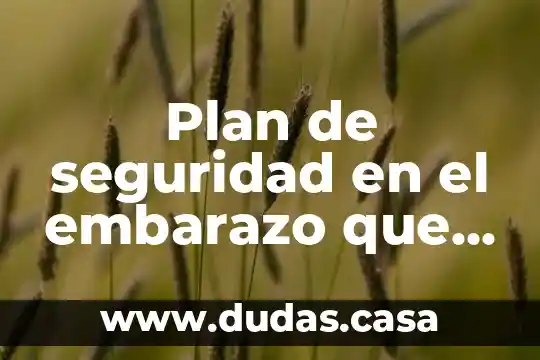 Plan de seguridad en el embarazo que es