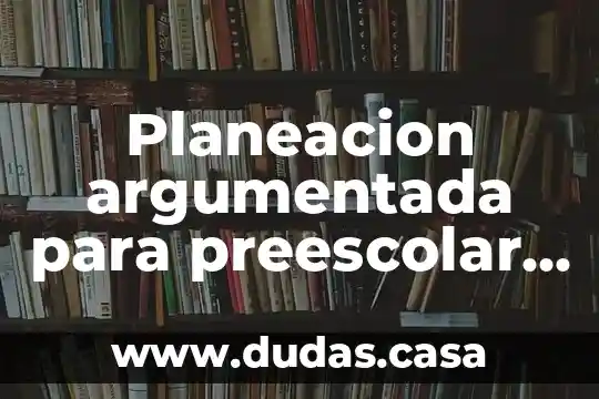 Planeacion argumentada para preescolar que es y elementos