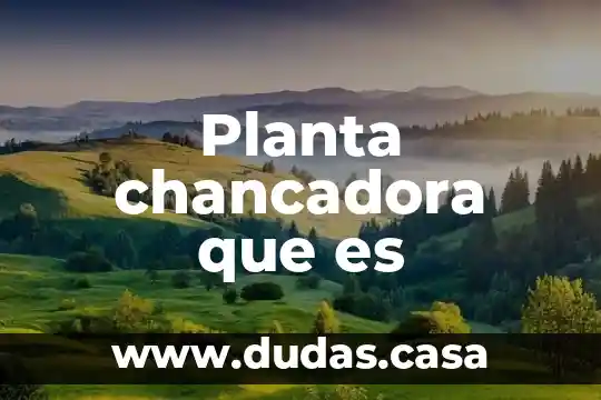 Planta chancadora que es