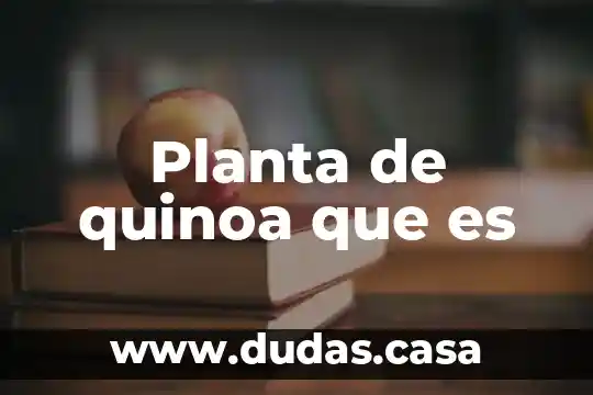 Planta de quinoa que es