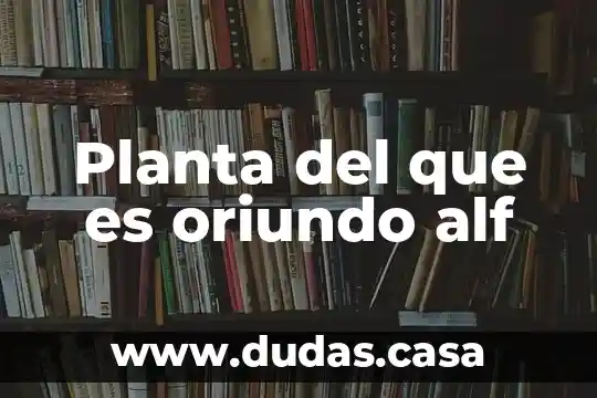 Planta del que es oriundo alf