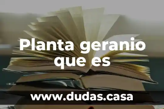 Planta geranio que es