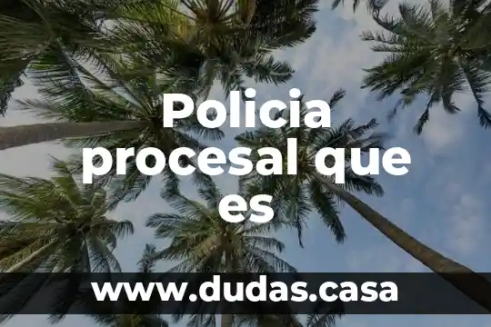 Policia procesal que es
