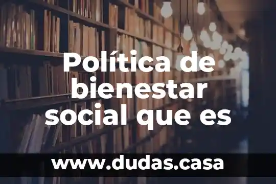 Política de bienestar social que es