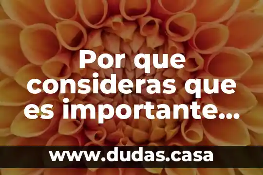 Por que consideras que es importante consumir alimentos nutritivos