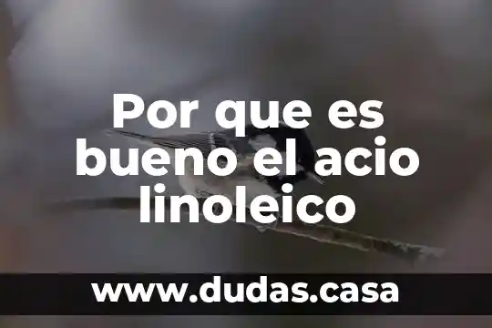 Por que es bueno el acio linoleico