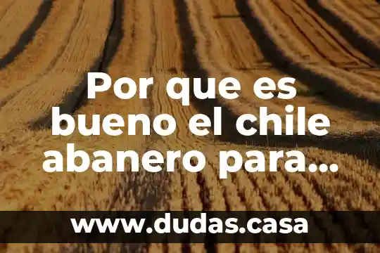 Por que es bueno el chile abanero para la gastritis