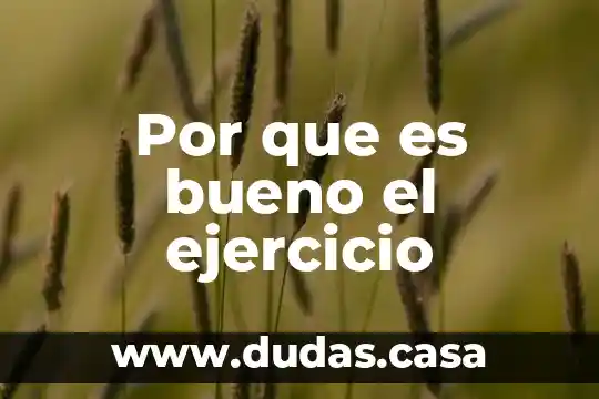 Por que es bueno el ejercicio