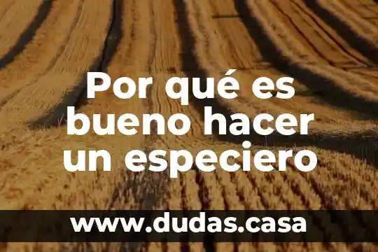 Por qué es bueno hacer un especiero