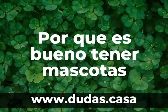 Por que es bueno tener mascotas