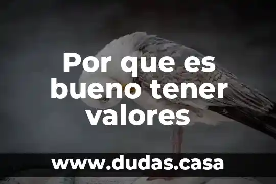 Por que es bueno tener valores