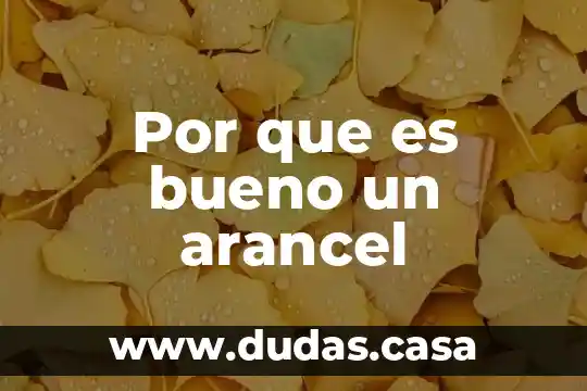 Por que es bueno un arancel