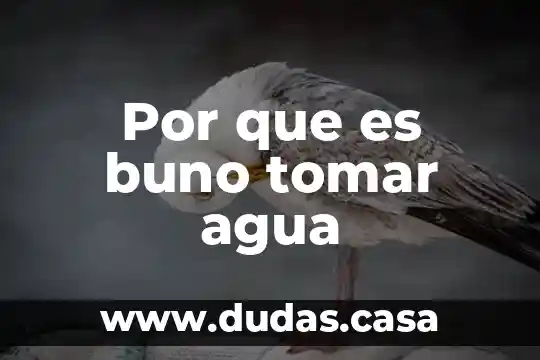 Por que es buno tomar agua