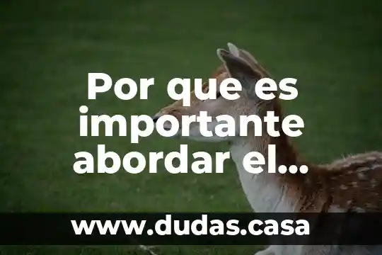 Por que es importante abordar el bullying en las escuelas