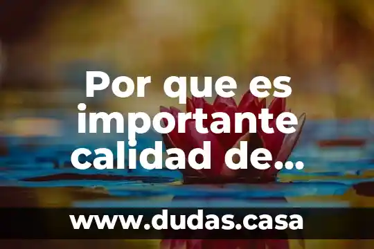 Por que es importante calidad de codigo