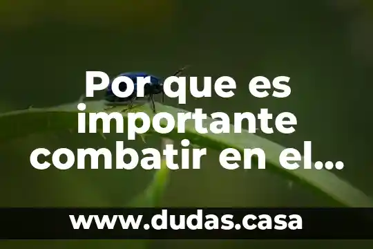 Por que es importante combatir en el taekwondo